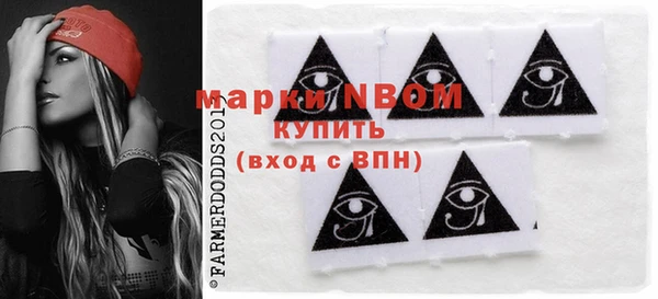 ПСИЛОЦИБИНОВЫЕ ГРИБЫ Арсеньев