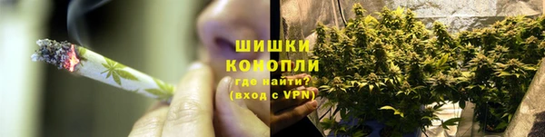ПСИЛОЦИБИНОВЫЕ ГРИБЫ Арсеньев