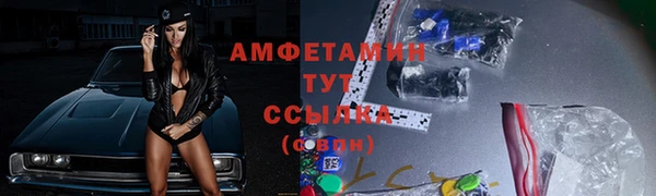 ПСИЛОЦИБИНОВЫЕ ГРИБЫ Арсеньев
