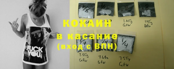 ПСИЛОЦИБИНОВЫЕ ГРИБЫ Арсеньев
