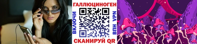 Псилоцибиновые грибы Psilocybine cubensis  Курлово 